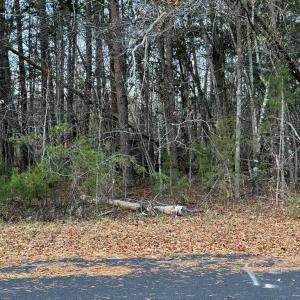 Photo #3 of Creekwood Trail, Farmville, VA 1.9 acres