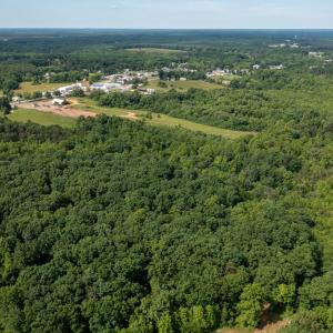 Photo #13 of 17587 James Madison Hwy, Dillwyn, VA 70.2 acres