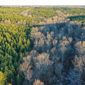 Photo #10 of Mason Trail, Nathalie, VA 117.0 acres