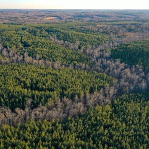 Photo #11 of Mason Trail, Nathalie, VA 117.0 acres