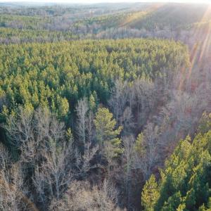Photo #12 of Mason Trail, Nathalie, VA 117.0 acres