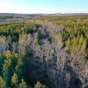 Photo #16 of Mason Trail, Nathalie, VA 117.0 acres