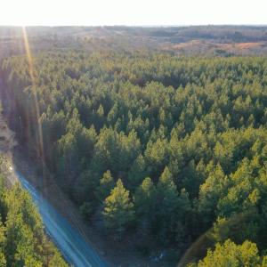 Photo #17 of Mason Trail, Nathalie, VA 117.0 acres