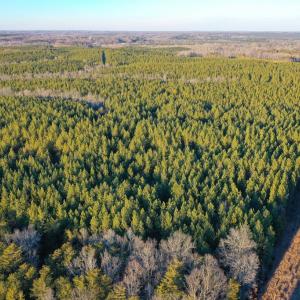 Photo #2 of Mason Trail, Nathalie, VA 117.0 acres