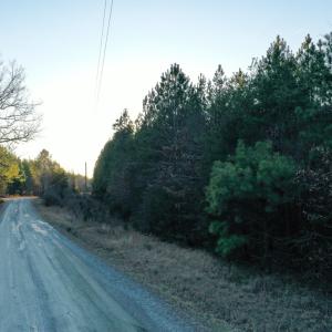 Photo #21 of Mason Trail, Nathalie, VA 117.0 acres
