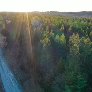 Photo #22 of Mason Trail, Nathalie, VA 117.0 acres