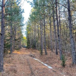 Photo #23 of Mason Trail, Nathalie, VA 117.0 acres