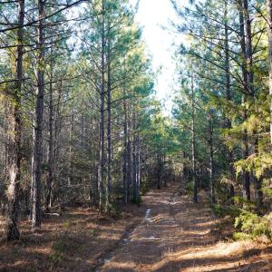 Photo #24 of Mason Trail, Nathalie, VA 117.0 acres