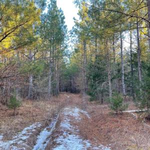 Photo #26 of Mason Trail, Nathalie, VA 117.0 acres