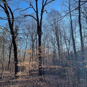 Photo #28 of Mason Trail, Nathalie, VA 117.0 acres