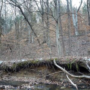 Photo #29 of Mason Trail, Nathalie, VA 117.0 acres