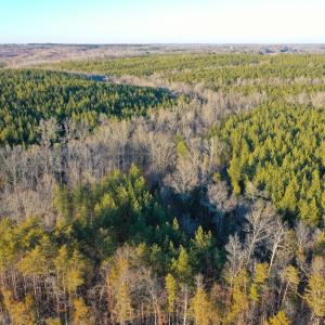 Photo #3 of Mason Trail, Nathalie, VA 117.0 acres