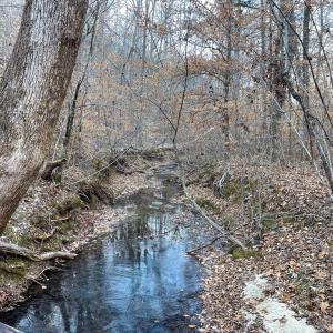 Photo #30 of Mason Trail, Nathalie, VA 117.0 acres