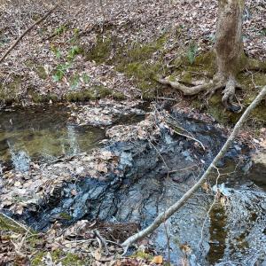 Photo #31 of Mason Trail, Nathalie, VA 117.0 acres