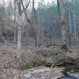 Photo #32 of Mason Trail, Nathalie, VA 117.0 acres
