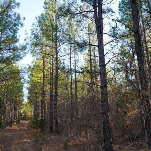 Photo #33 of Mason Trail, Nathalie, VA 117.0 acres