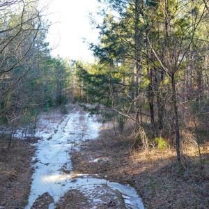 Photo #35 of Mason Trail, Nathalie, VA 117.0 acres