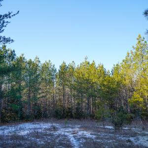 Photo #36 of Mason Trail, Nathalie, VA 117.0 acres