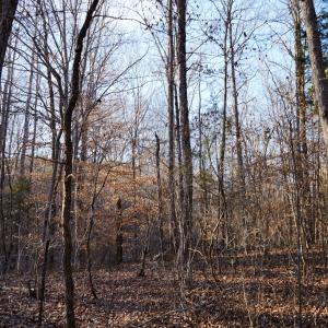 Photo #37 of Mason Trail, Nathalie, VA 117.0 acres