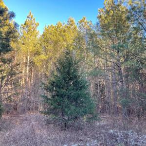 Photo #39 of Mason Trail, Nathalie, VA 117.0 acres