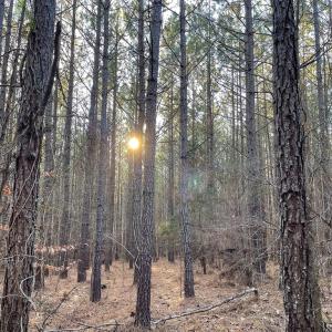 Photo #41 of Mason Trail, Nathalie, VA 117.0 acres
