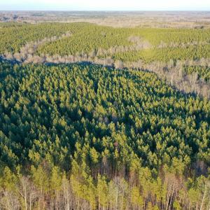 Photo #5 of Mason Trail, Nathalie, VA 117.0 acres