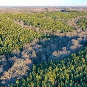 Photo #8 of Mason Trail, Nathalie, VA 117.0 acres