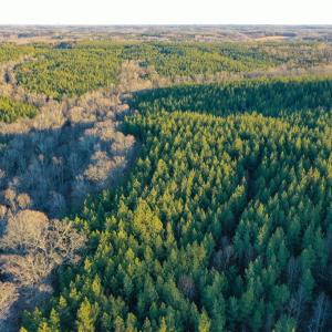 Photo #9 of Mason Trail, Nathalie, VA 117.0 acres