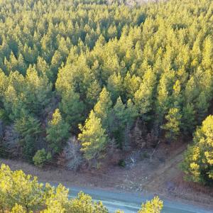 Photo #18 of Mason Trail, Nathalie, VA 117.0 acres
