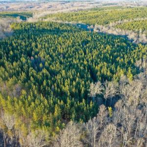 Photo #4 of Mason Trail, Nathalie, VA 117.0 acres
