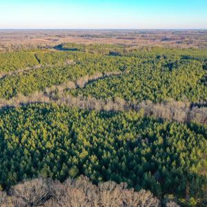 Photo #6 of Mason Trail, Nathalie, VA 117.0 acres