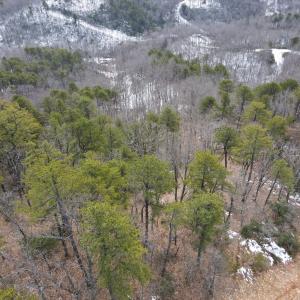 Photo #20 of Round Mountain Rd, Stuart, VA 5.7 acres