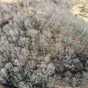 Photo #12 of Starmount Lane, Galax, VA 9.0 acres