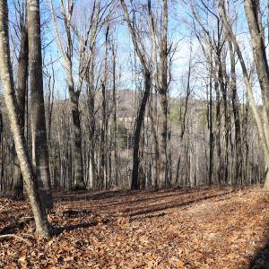 Photo #13 of Starmount Lane, Galax, VA 9.0 acres