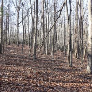Photo #14 of Starmount Lane, Galax, VA 9.0 acres