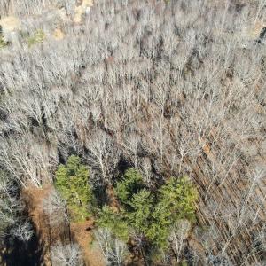 Photo #18 of Starmount Lane, Galax, VA 9.0 acres