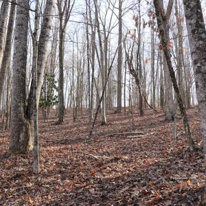 Photo #19 of Starmount Lane, Galax, VA 9.0 acres