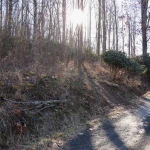 Photo #7 of Starmount Lane, Galax, VA 9.0 acres