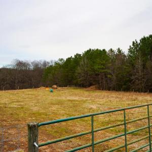 Photo #11 of 4031 Marion Road, Chatham, VA 100.0 acres