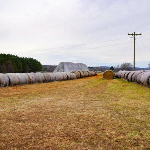 Photo #14 of 4031 Marion Road, Chatham, VA 100.0 acres