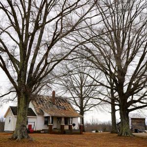 Photo #21 of 4031 Marion Road, Chatham, VA 100.0 acres