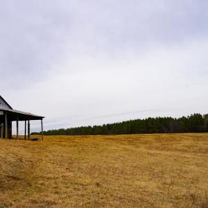 Photo #25 of 4031 Marion Road, Chatham, VA 100.0 acres