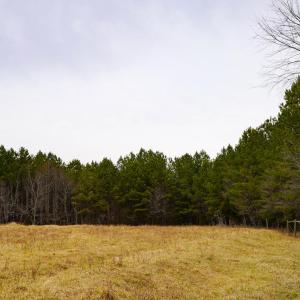 Photo #27 of 4031 Marion Road, Chatham, VA 100.0 acres