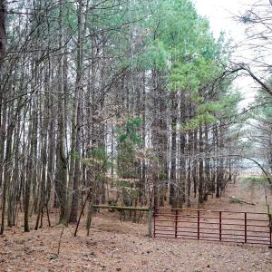Photo #29 of 4031 Marion Road, Chatham, VA 100.0 acres