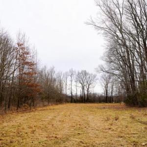 Photo #35 of 4031 Marion Road, Chatham, VA 100.0 acres