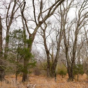 Photo #36 of 4031 Marion Road, Chatham, VA 100.0 acres