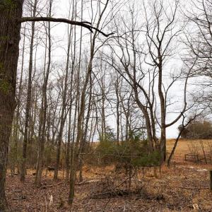 Photo #37 of 4031 Marion Road, Chatham, VA 100.0 acres