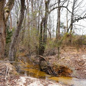 Photo #39 of 4031 Marion Road, Chatham, VA 100.0 acres