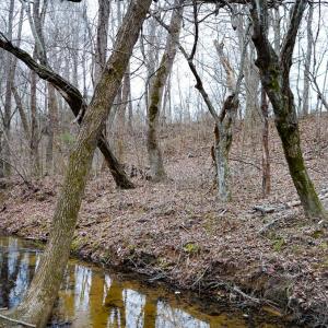 Photo #40 of 4031 Marion Road, Chatham, VA 100.0 acres