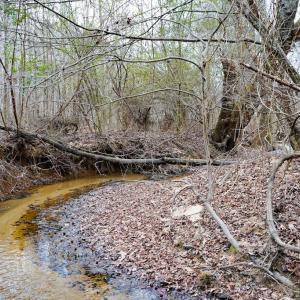 Photo #41 of 4031 Marion Road, Chatham, VA 100.0 acres